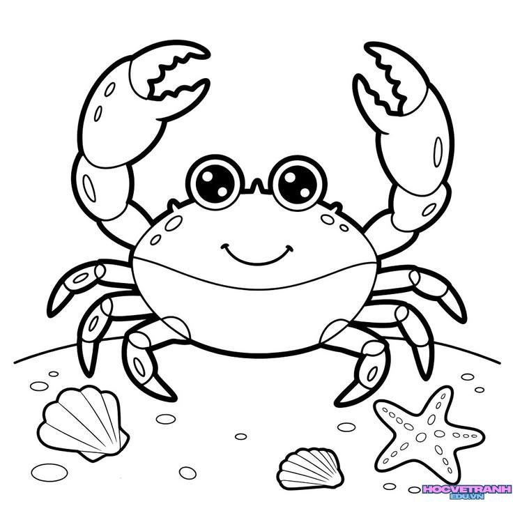 tranh tô màu con cua vui