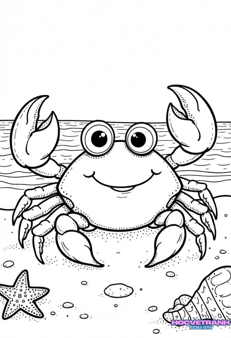 tranh tô màu con cua xinh