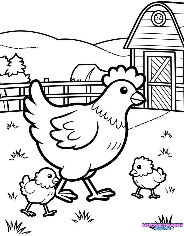 tranh tô màu con gà dễ