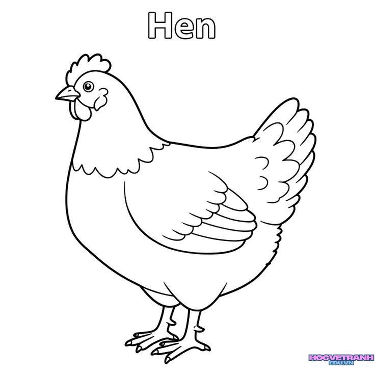 tranh tô màu con gà xinh