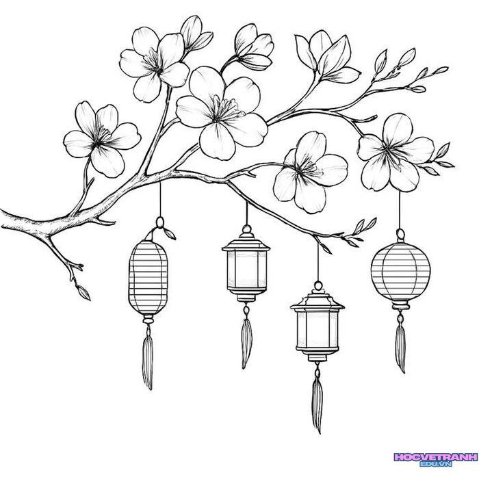 tranh tô màu hoa mai giáo dục