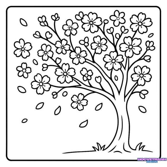 tranh tô màu hoa mai truyền thống