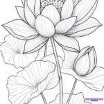 Bộ sưu tập tranh tô màu hoa sen, đầm sen rực rỡ