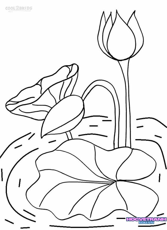 tranh tô màu hoa sen ao làng