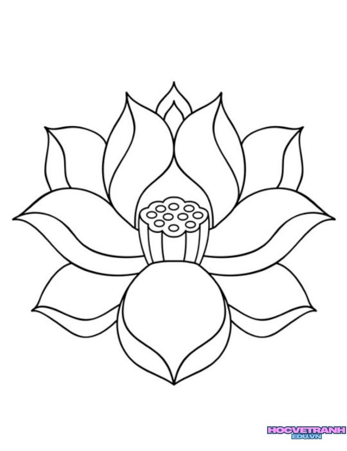 tranh tô màu hoa sen cho bé tập tô