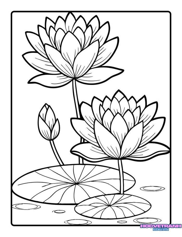 tranh tô màu hoa sen dễ tô