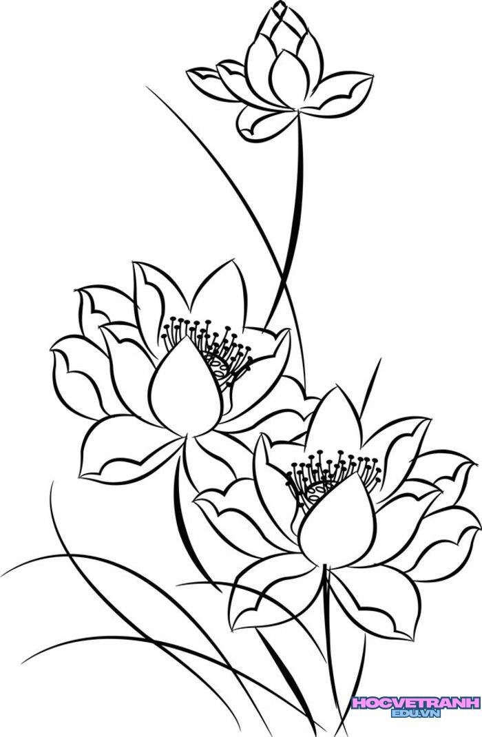 Beautiful,Vector,Lotus,Flowers,And,Leaves,In,Graphic,Style.