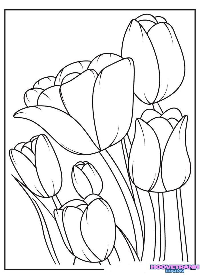 tranh tô màu hoa tulip cho trẻ em