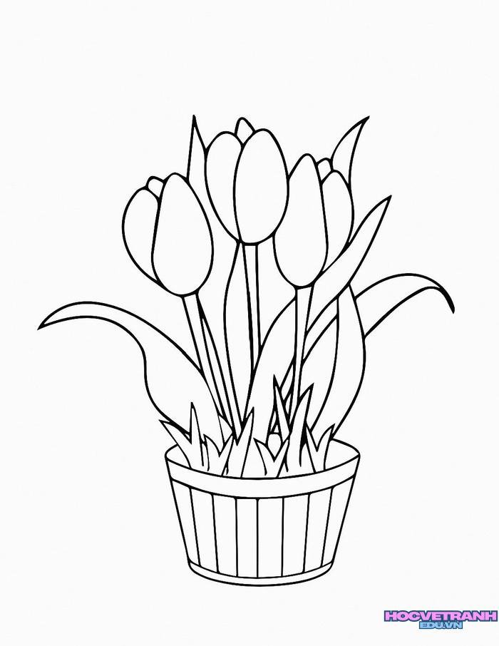 tranh tô màu hoa tulip trang trí