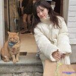 1000+ Ảnh hình gái xinh đẹp nhất 2026 chất lượng 4k