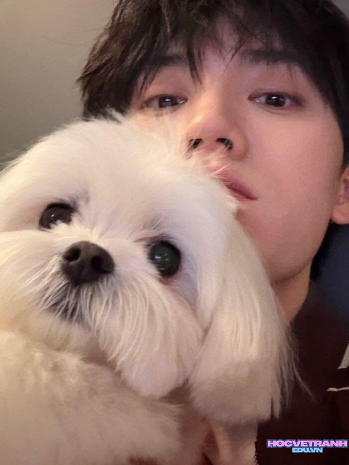 ảnh trai đẹp k10 biểu cảm tự nhiên