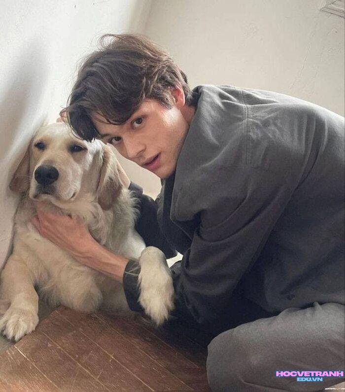 ảnh trai tây phong cách cuốn hút