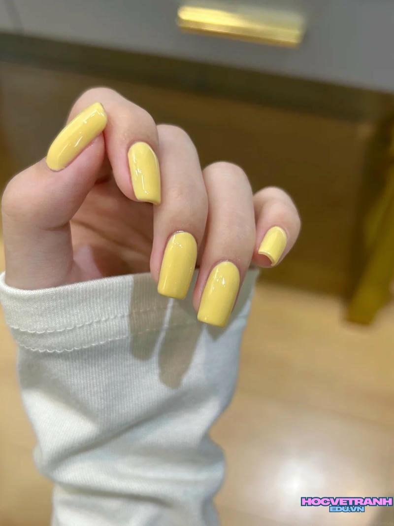 Khám phá ảnh nail 1 màu cuốn hút