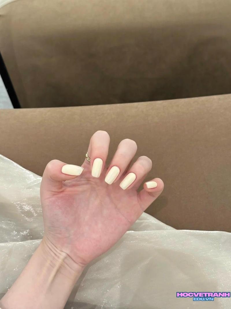 Bộ ảnh nail sơn trơn độc đáo