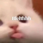 Top 35+ meme lêu lêu hài hước và lầy lội nhất để đi bình luận