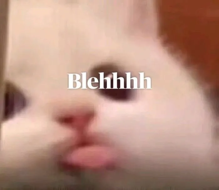 8 8