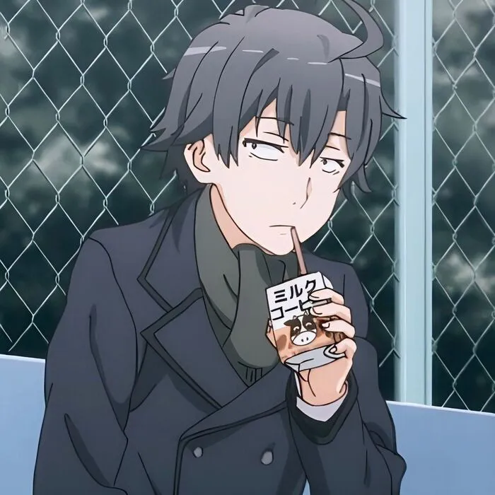 ảnh Hachiman Hikigaya ảnh Hachiman Hikigaya