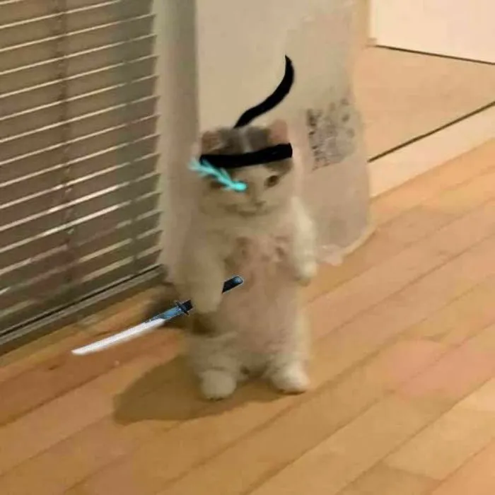 ảnh meme cầm dao mèo bựa