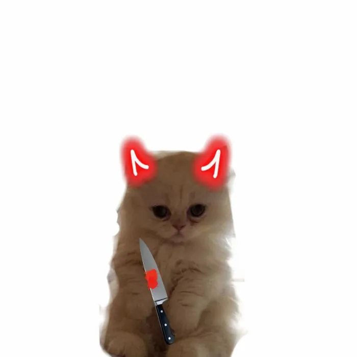 ảnh meme cầm dao mèo xinh yêu