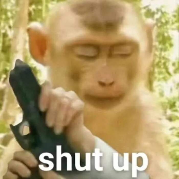 ảnh meme cầm súng khỉ ảnh meme cầm súng khỉ