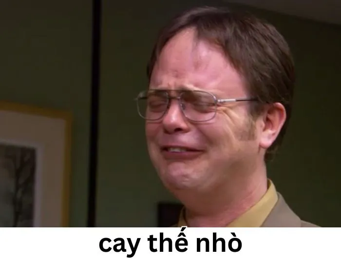 ảnh meme cay cú bựa chế