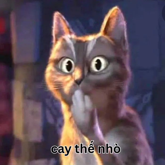 ảnh meme cay cú cực hài