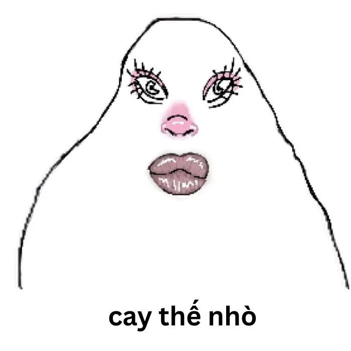 ảnh meme cay cú hài hước