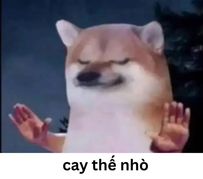 ảnh meme cay cú hài nhất