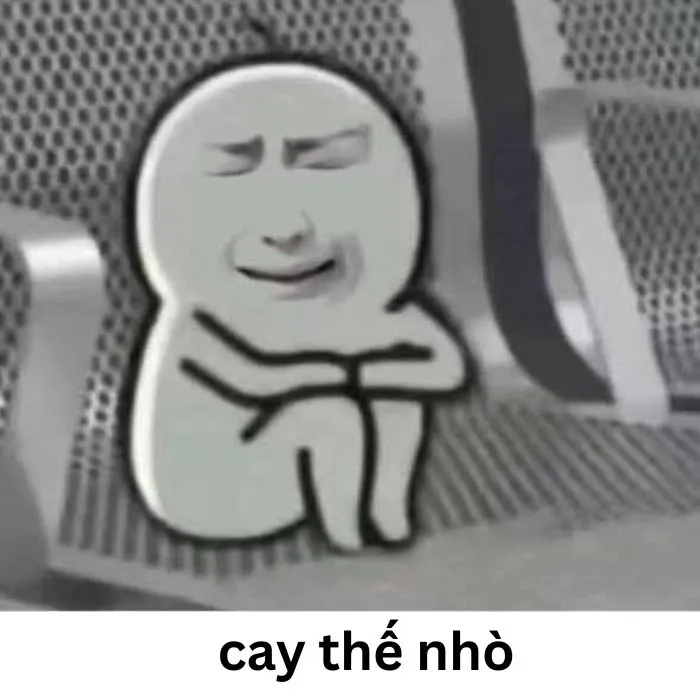 ảnh meme cay cú siêu hài