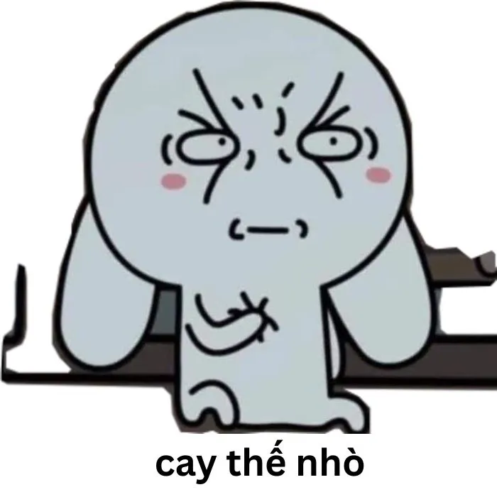 ảnh meme cay cú thỏ