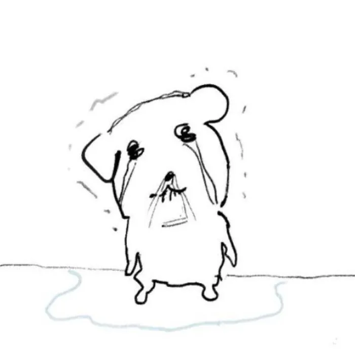 ảnh meme chán chế