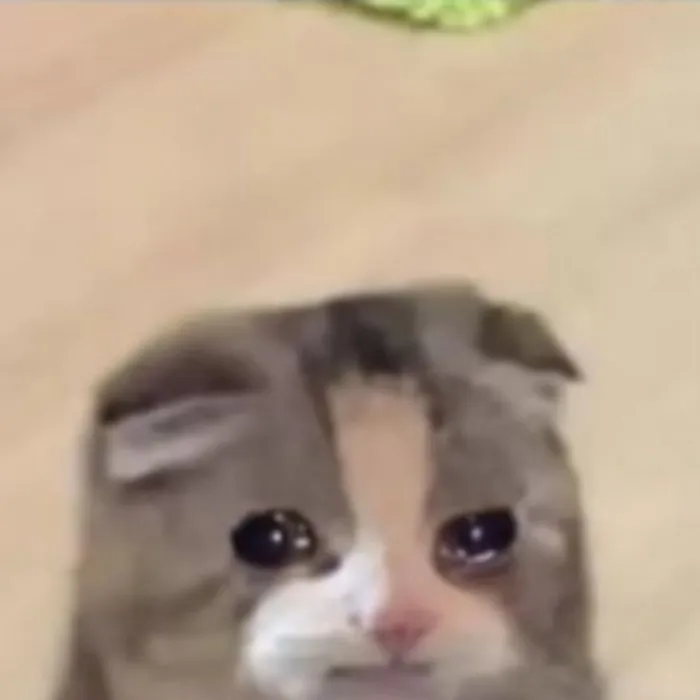 ảnh meme chán mếu ảnh meme chán mếu