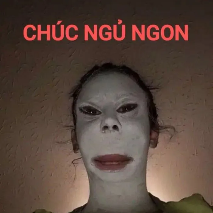 ảnh meme chúc ngủ ngon chế