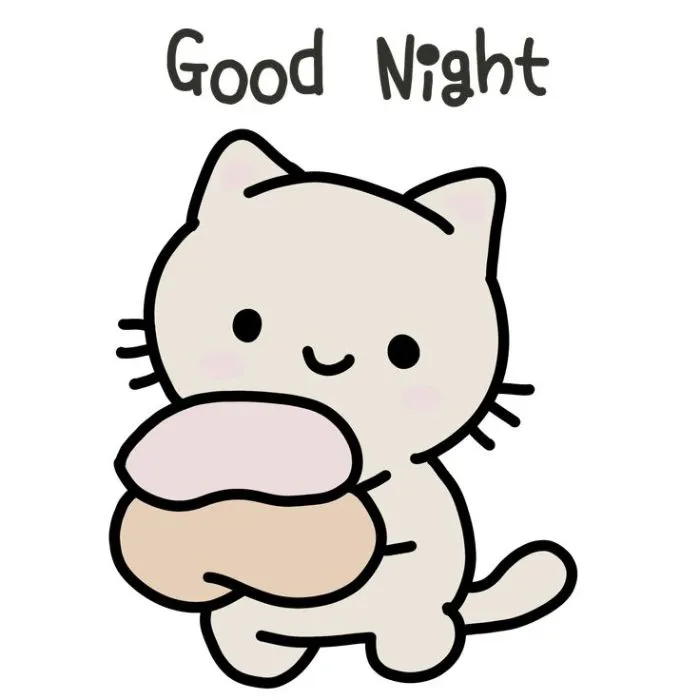 ảnh meme chúc ngủ ngon mèo đáng yêu