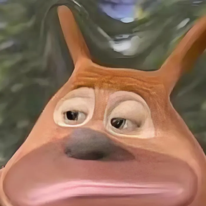ảnh meme ko chữ  16