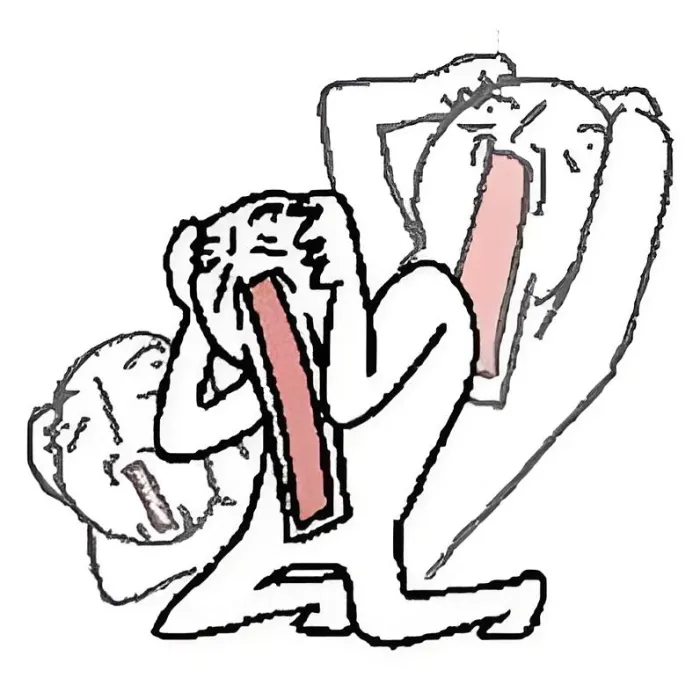 ảnh meme ko chữ  4