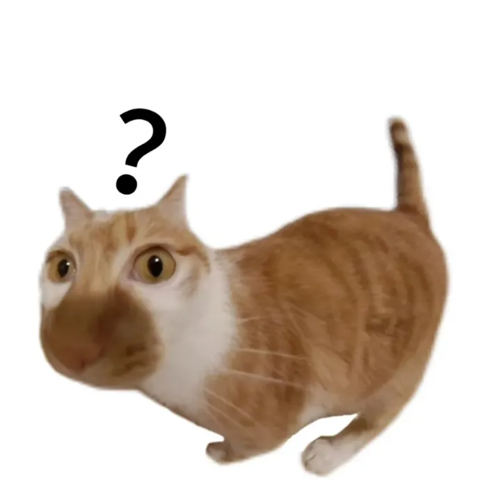 ảnh meme ko chữ  7