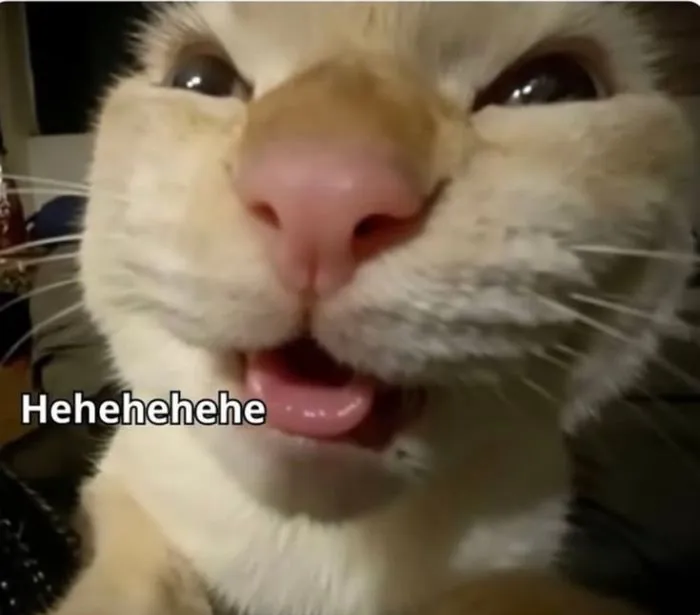 ảnh meme lêu lêu cực bựa ảnh meme lêu lêu cực bựa
