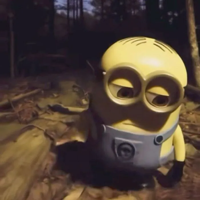 ảnh meme thất vọng minion