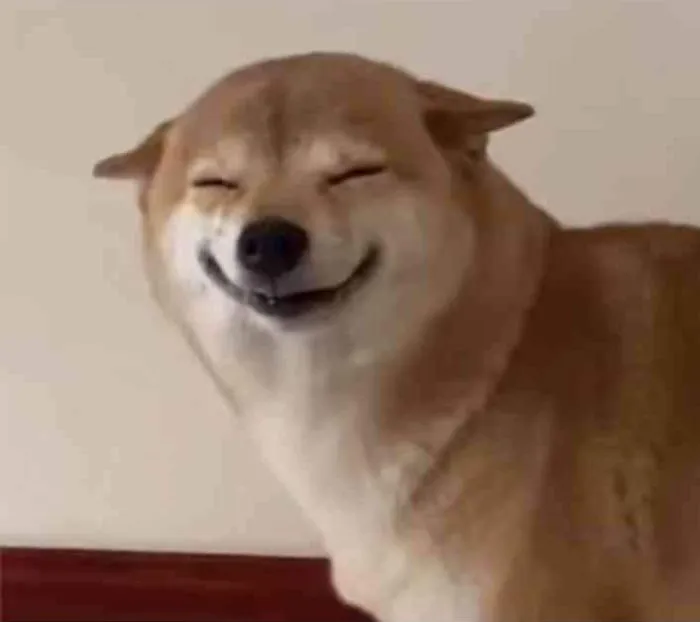 ảnh meme vui shiba