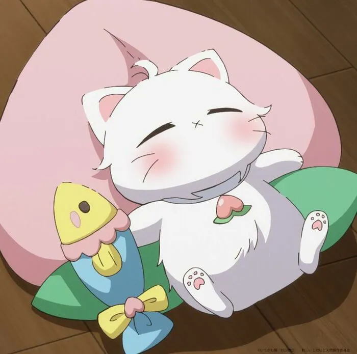 ảnh mèo anime hot nhất