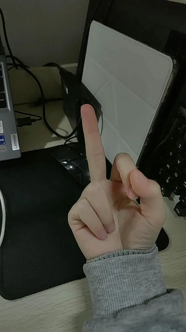 ảnh ngón giữa 23