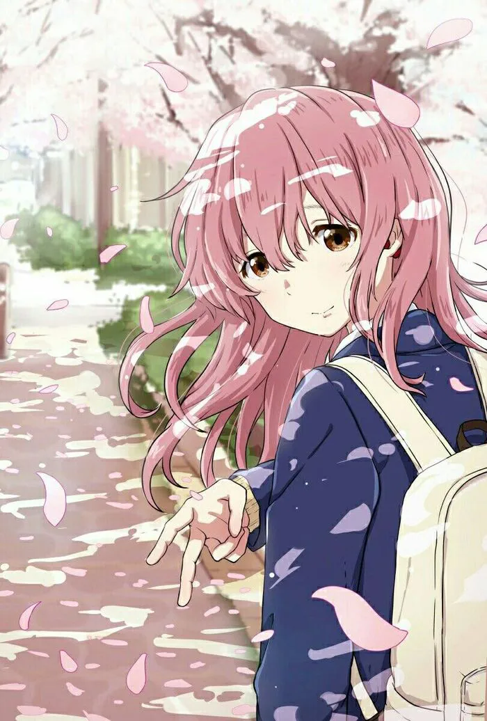 ảnh Shouko Nishimiya ấn tượng