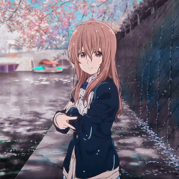 ảnh Shouko Nishimiya đẹp dịu dàng ảnh Shouko Nishimiya đẹp dịu dàng
