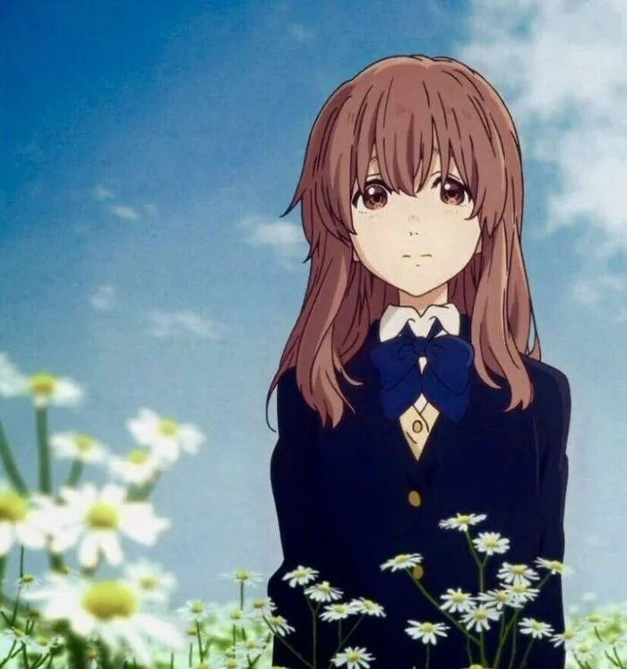 ảnh Shouko Nishimiya đẹp nhẹ nhàng ảnh Shouko Nishimiya đẹp nhẹ nhàng