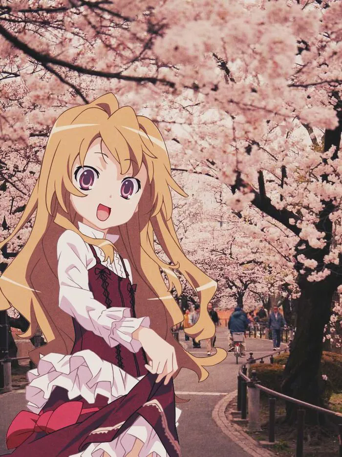 ảnh Taiga Aisaka cực đẹp