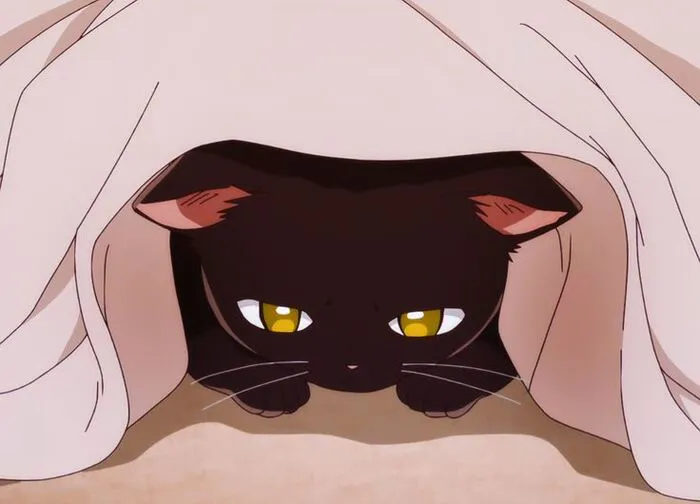 hình ảnh mèo anime cực yêu