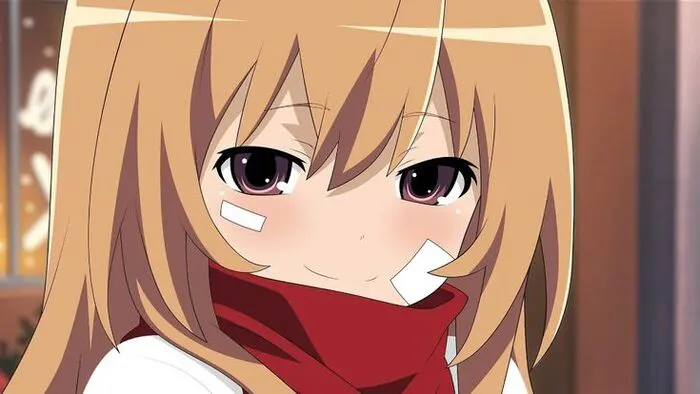 hình ảnh Taiga Aisaka cute nhất