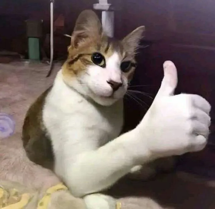 like meme cực cute like meme cực cute
