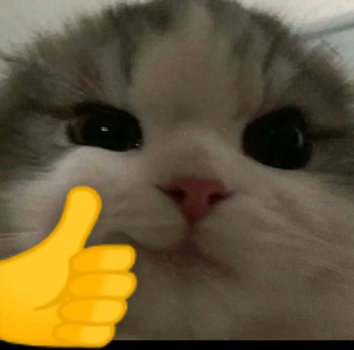 like meme cute like meme cute